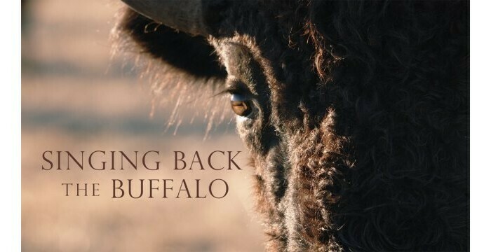 Singing Back the Buffalo - Le Printemps des arts autochtones Cinématographe (Le)