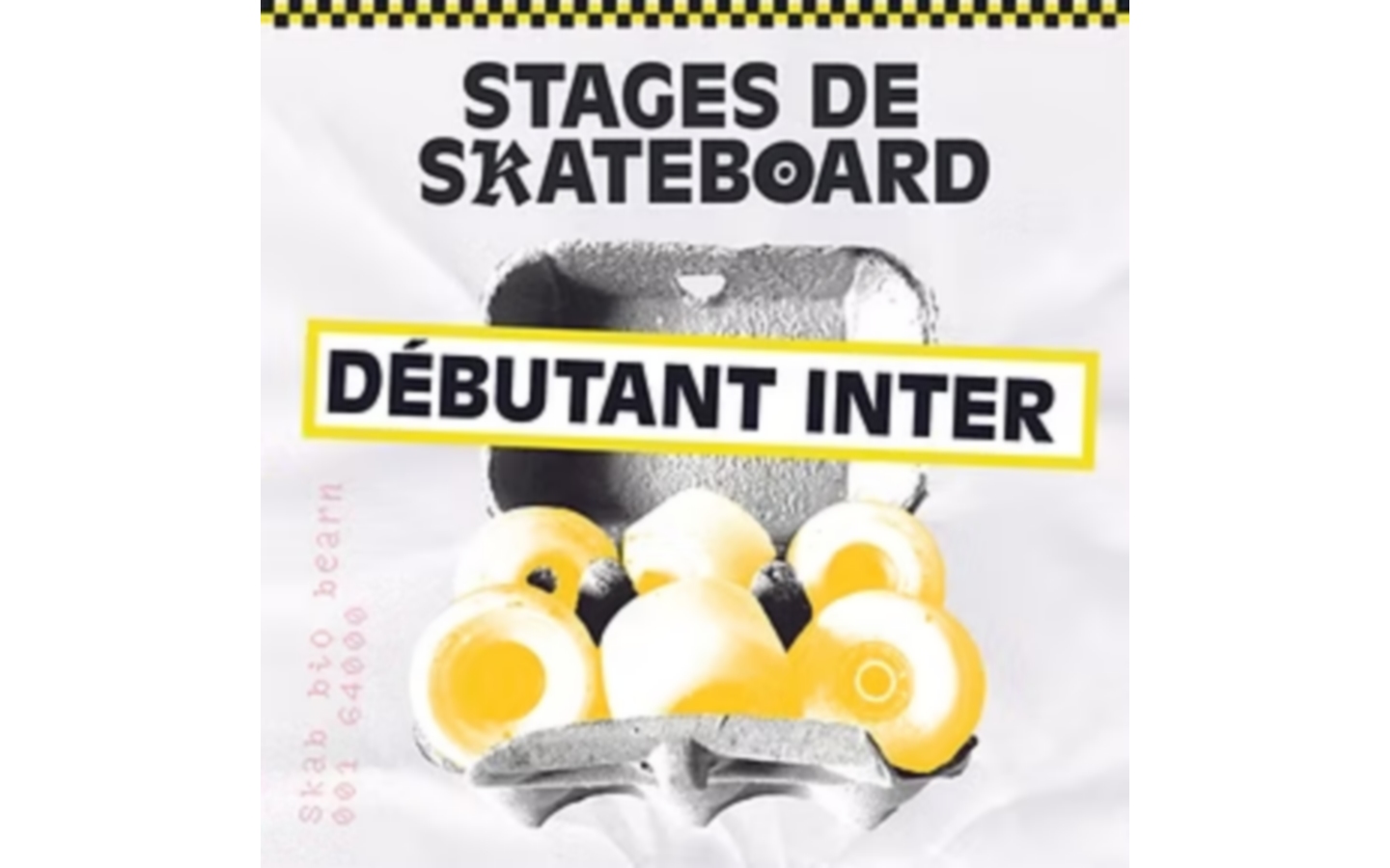 SKAB school Stage skateboard débutant-intermédiaire
