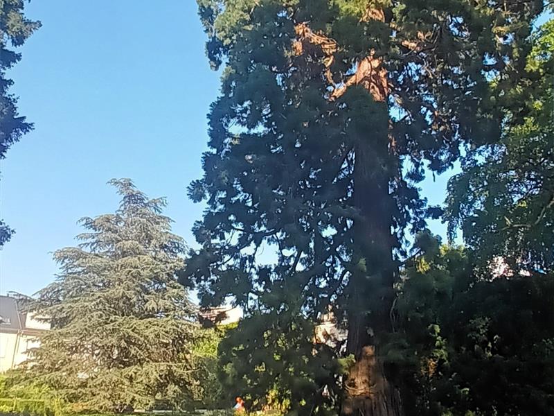 Sophro balade au Botanique 27ter rue de Pont à Mousson Montigny-lès-Metz 2026-04-12