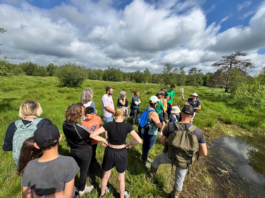Sortie découverte Marais des Hauts Buttés Les hauts Buttés Monthermé 2026-06-13