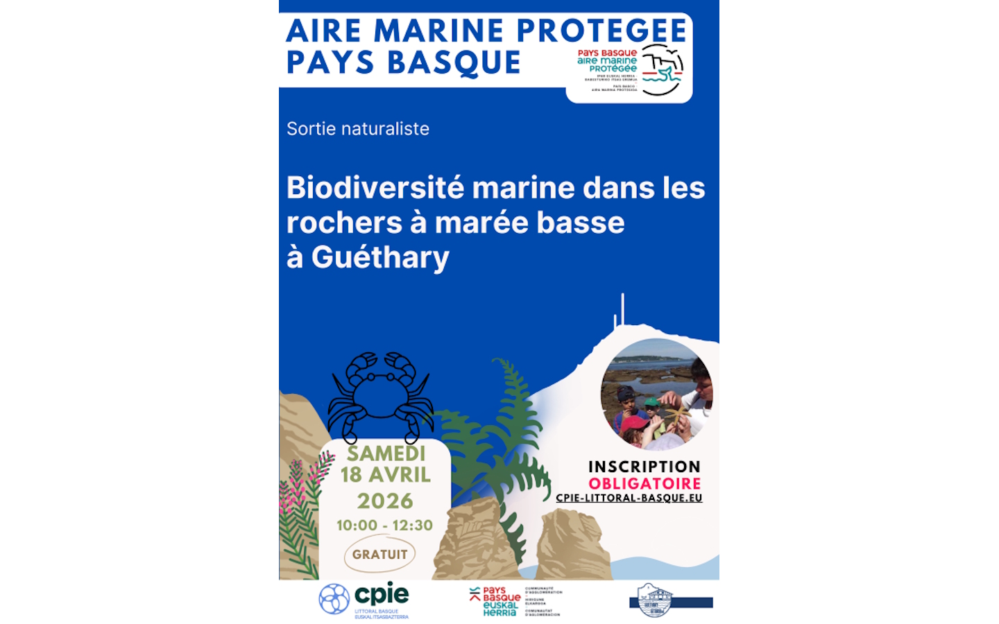 Sortie naturaliste Biodiversité marine dans les rochers à marée basse à Guéthary