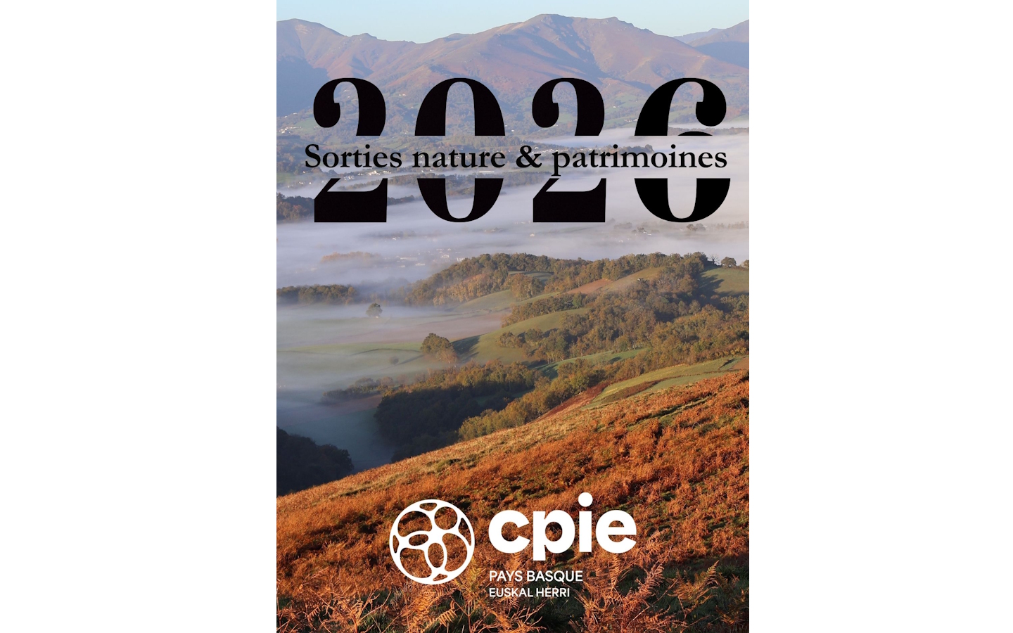 Sortie nature CPIE Pays Basque Une épice nommée Safran