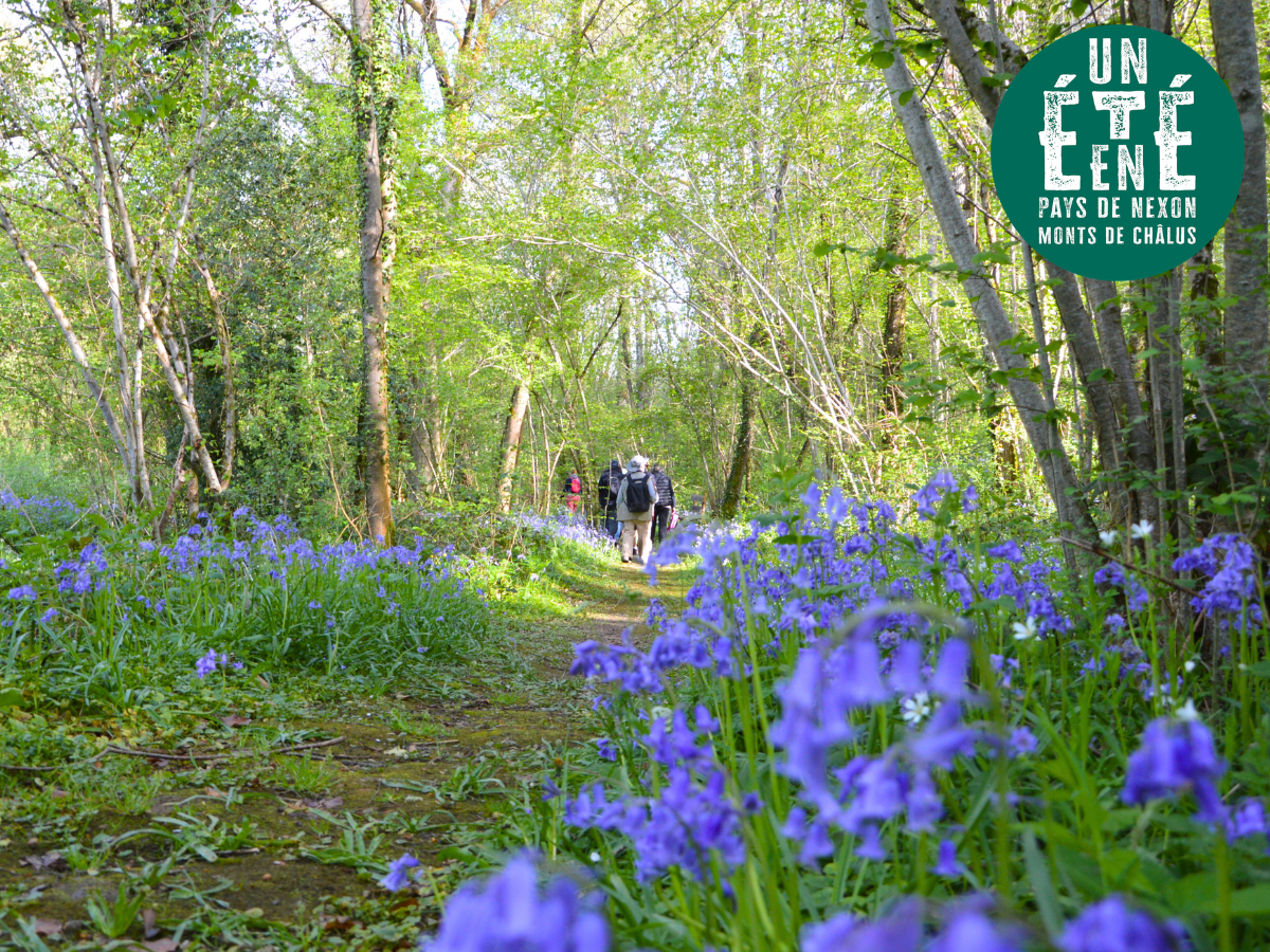 Sortie nature La musique verte Aire de repos Pageas 2026-08-20