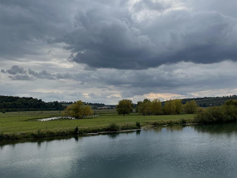 Sortie nature la noue