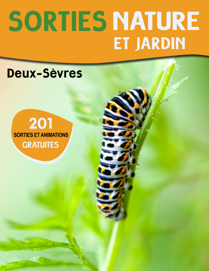 Sortie nature La vie microscopique des mares