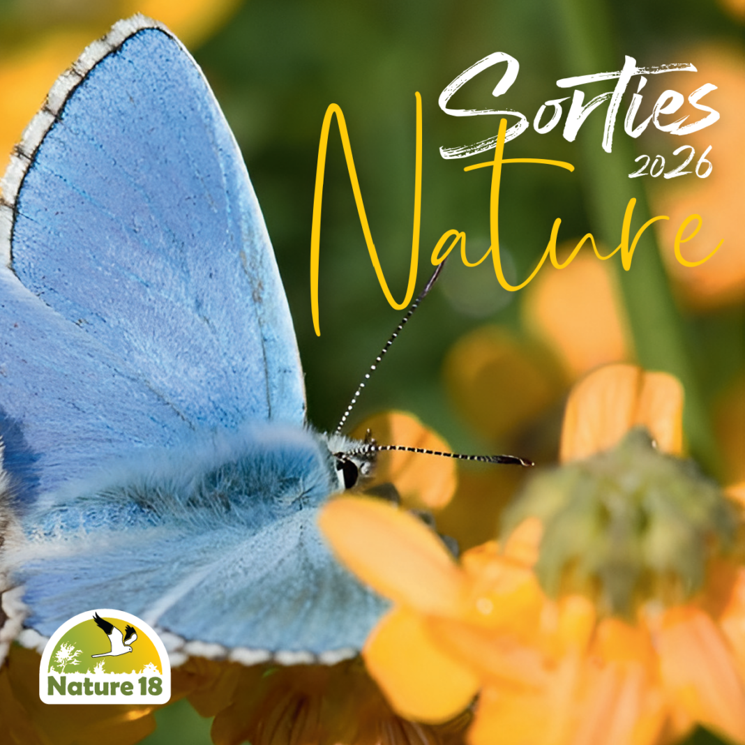 Sortie Nature Les Petites Bêtes  Bourges