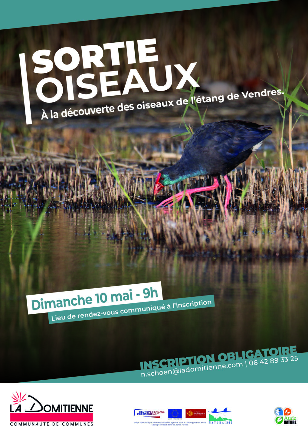 SORTIE OISEAUX