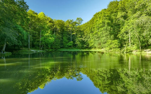 Sortie ornithologique au lac de Sargaillouse lac de Sargaillouse Coarraze 2026-04-15