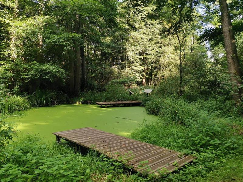 Sortie printanière route de Neubois Dieffenbach-au-Val 2026-03-21