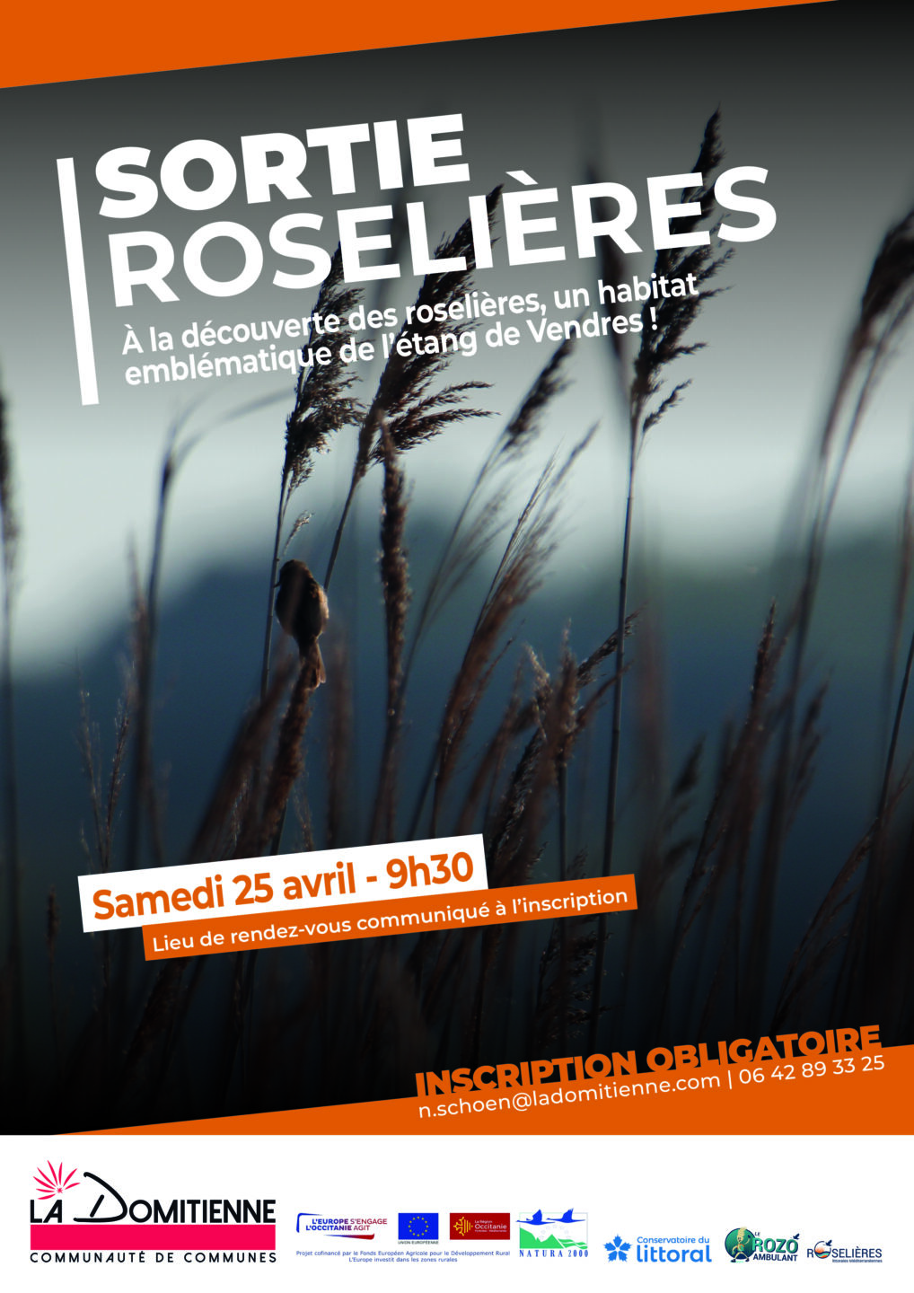 SORTIE ROSELIÈRES