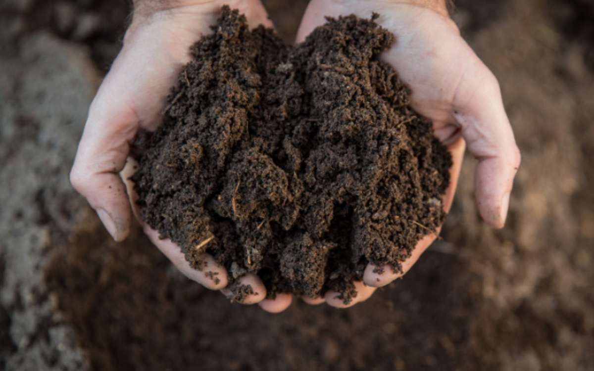 Sous nos pieds, tout un monde vivant ! Maison du Jardinage et du Compostage PARIS