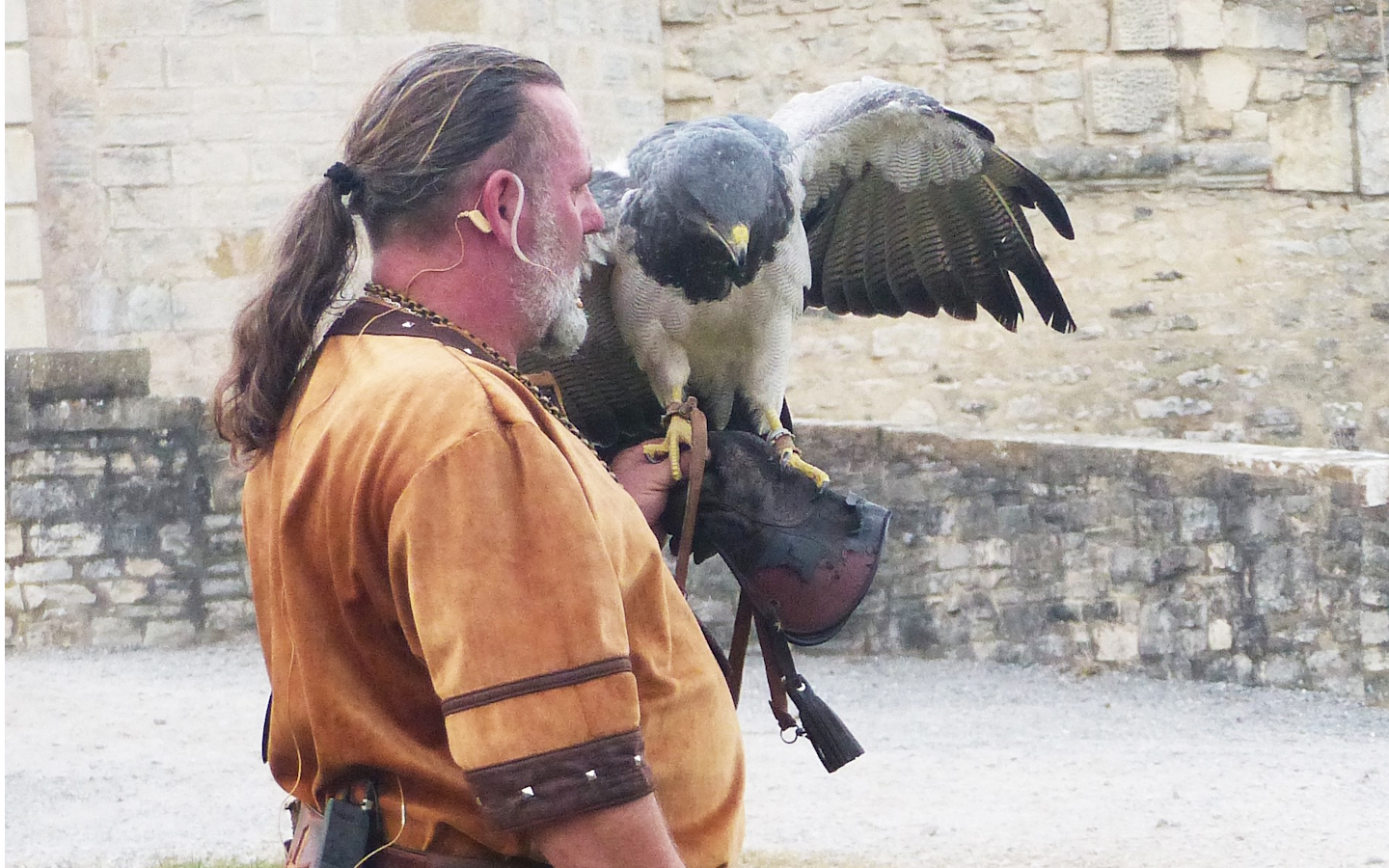 Spectacle des sabots et des ailes Château de Gramont Bidache 2026-08-03