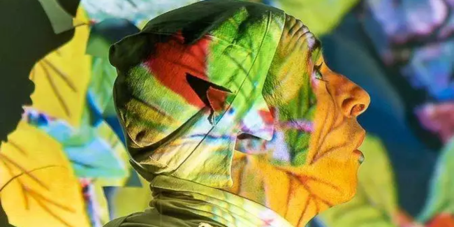 Spectacle Hoël 20 Rue Jules Ferry Le Palais-sur-Vienne 2026-03-28