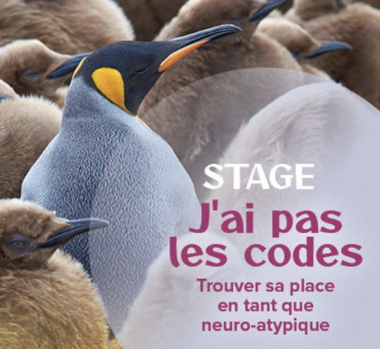 Stage à l'Atelier sous les Chênes J'ai pas les codes