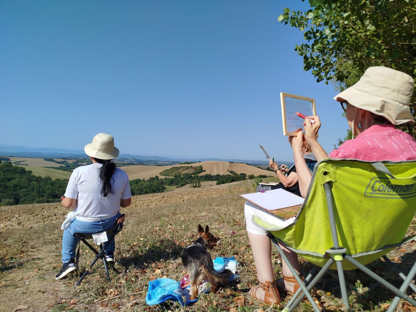 STAGES D'AQUARELLE EN PLEINE NATURE  Latrape 2026-05-03