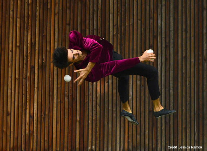 Street Cheval Bibliothèque d’Étude et du Patrimoine Toulouse