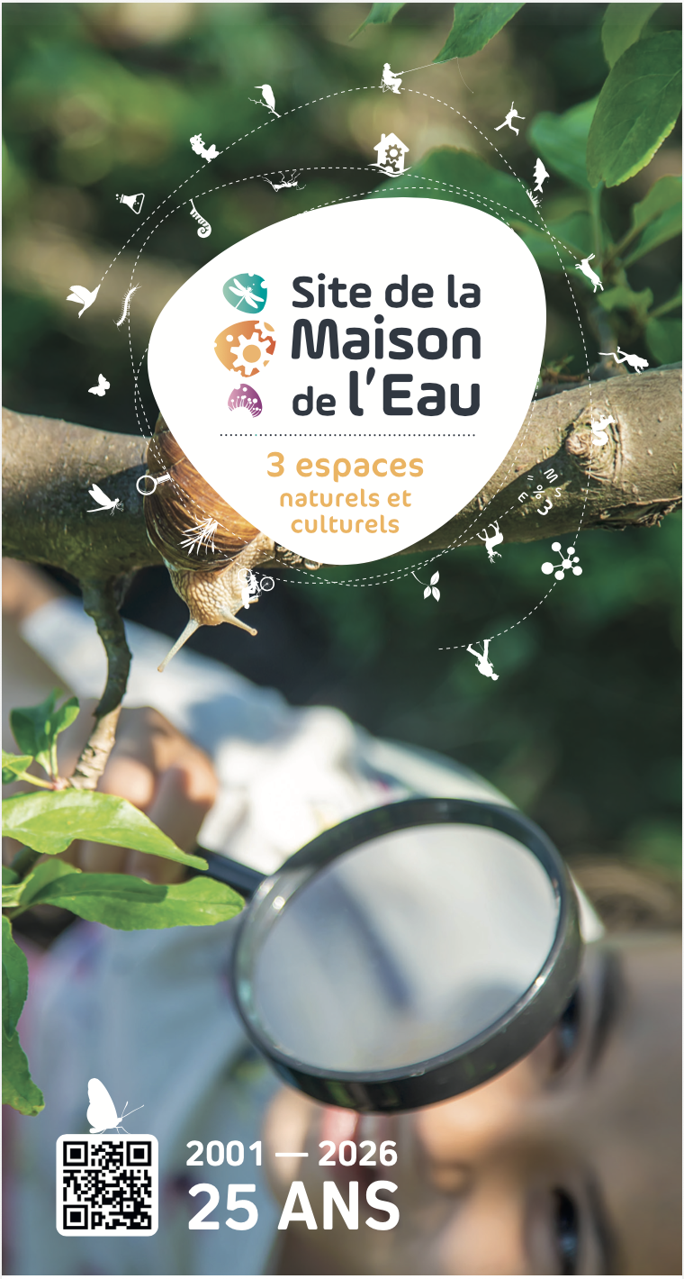 Sur la piste du Mycélium