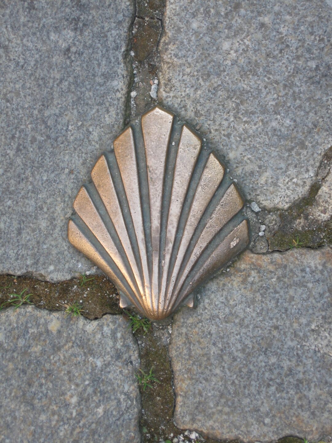 Sur le chemin de Saint-Jacques-de-Compostelle Visite Guidée