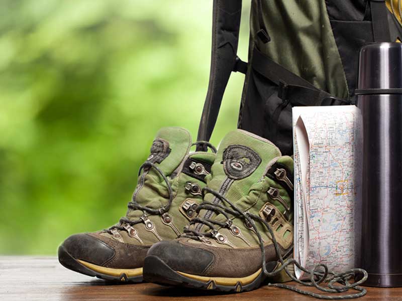 Sur les traces des mammifères semi-aquatiques Parking de Charcenay Fondettes 2026-04-21