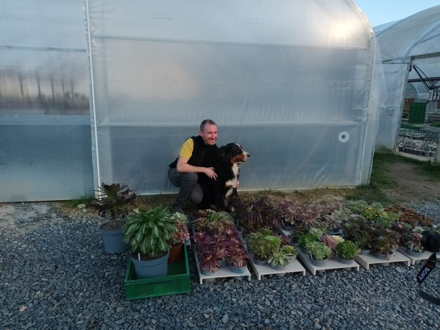 Talents d’Ici Visites d’entreprises en Cingal–Suisse Normande- Suisse Normande Succulentes Lieu dit le