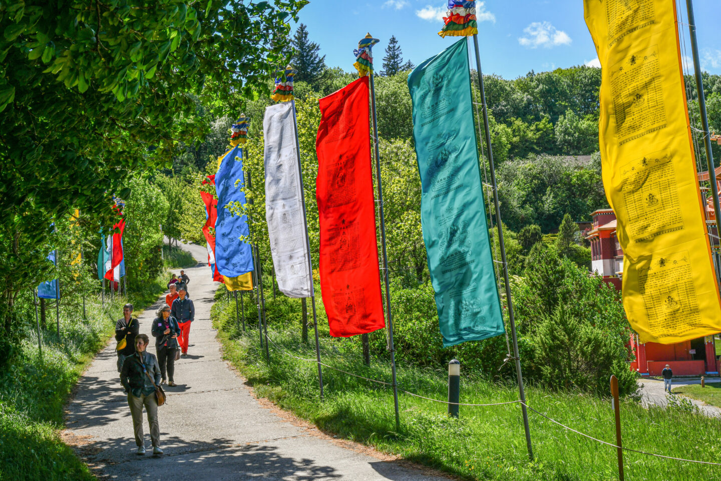 TASHI DELEK MÉDITER POUR LA PAIX Roqueredonde 2026-07-06