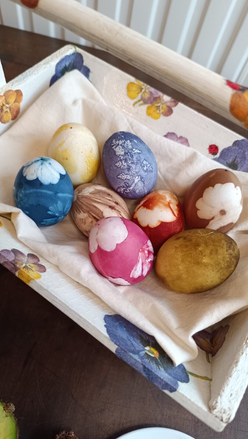 TEINTURE VÉGÉTALE SUR OEUFS 1090 Route de Grenade Montaigut-sur-Save 2026-04-05