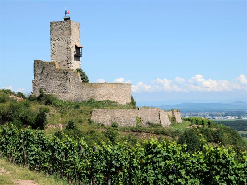 Tous aux châteaux Journée au Wineck