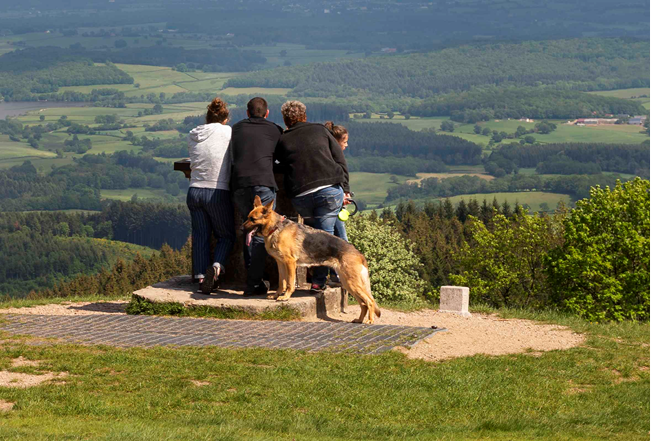 Toutou't'à pied une balade qui a du chien à Bibracte ! D274 Saint-Léger-sous-Beuvray 2026-03-29