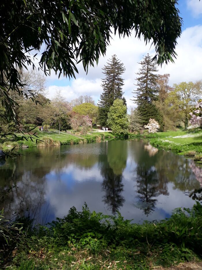 Trésors botaniques du Parc de la Beaujoire Parc floral de la Beaujoire