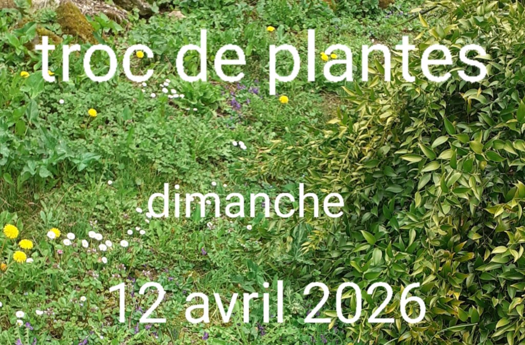 Troc de plantes Cour de l'école Mauzac-et-Grand-Castang 2026-04-12