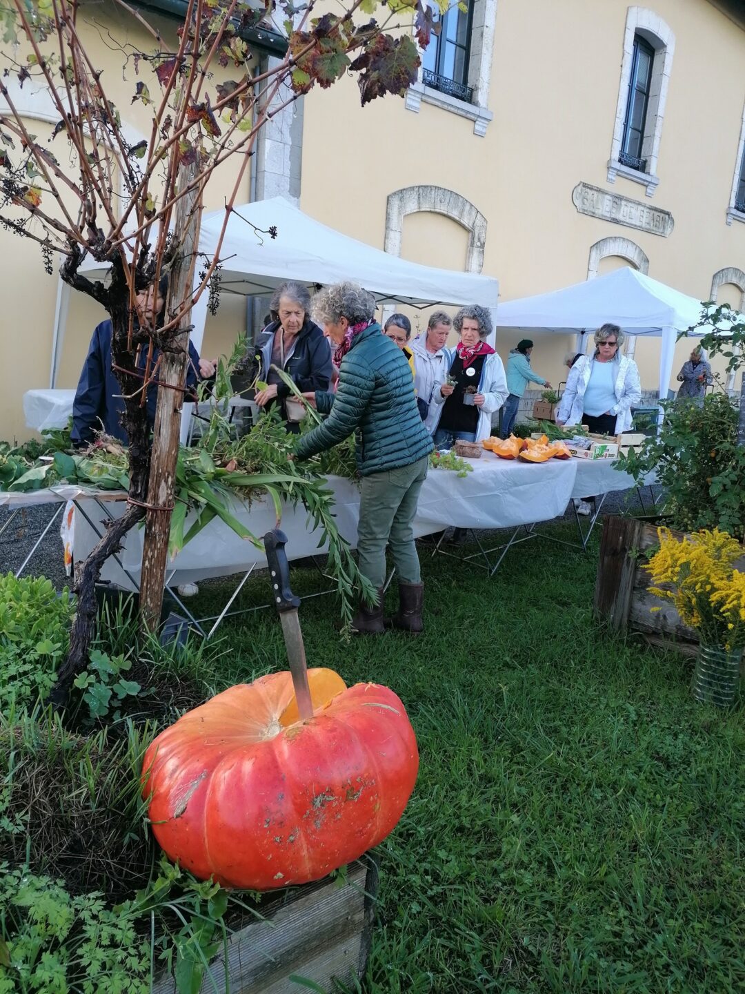 Troc'plantes de Printemps Avenue de la Gare Salies-de-Béarn 2026-04-12