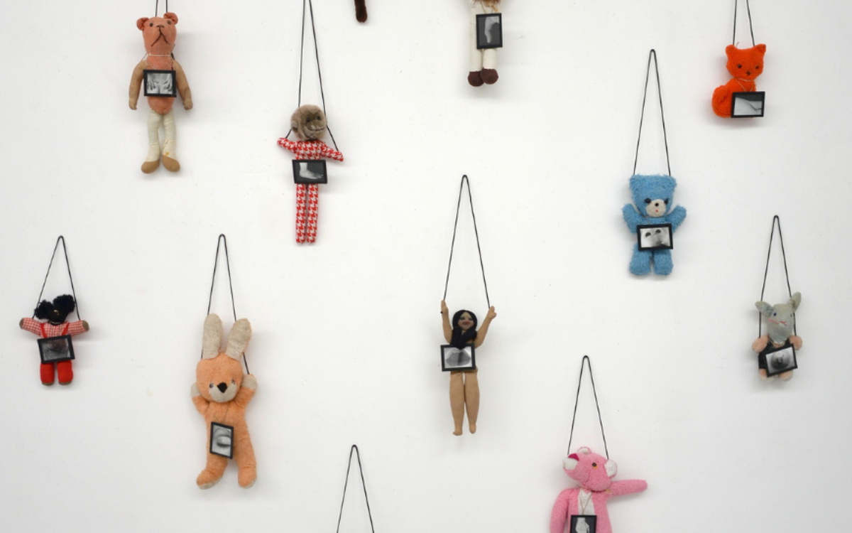 Une hirondelle ne fait pas le printemps. Annette Messager Musée de la Chasse et de la Nature  Paris