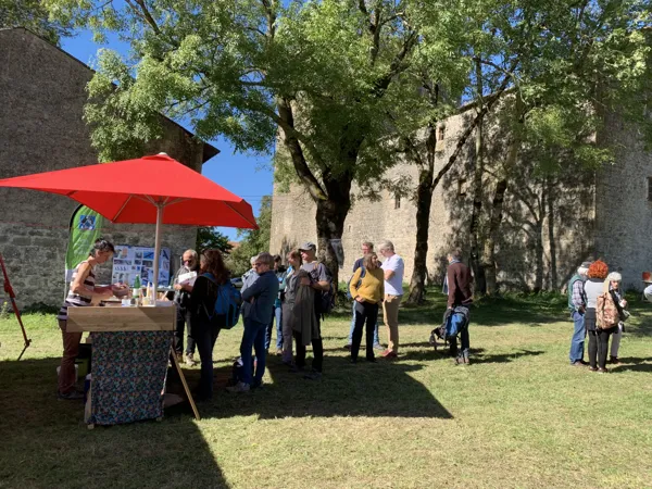 Vide-Grenier Viala-du-Pas-de-Jaux 2026-04-12