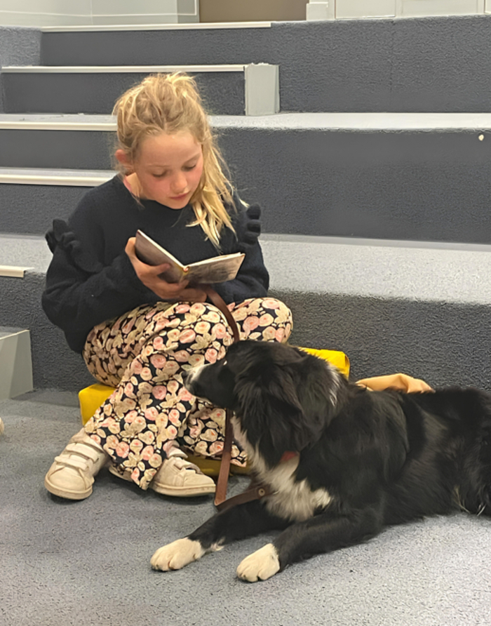 Viens lire avec un chien ! Bibliothèque Simone de Beauvoir Rouen