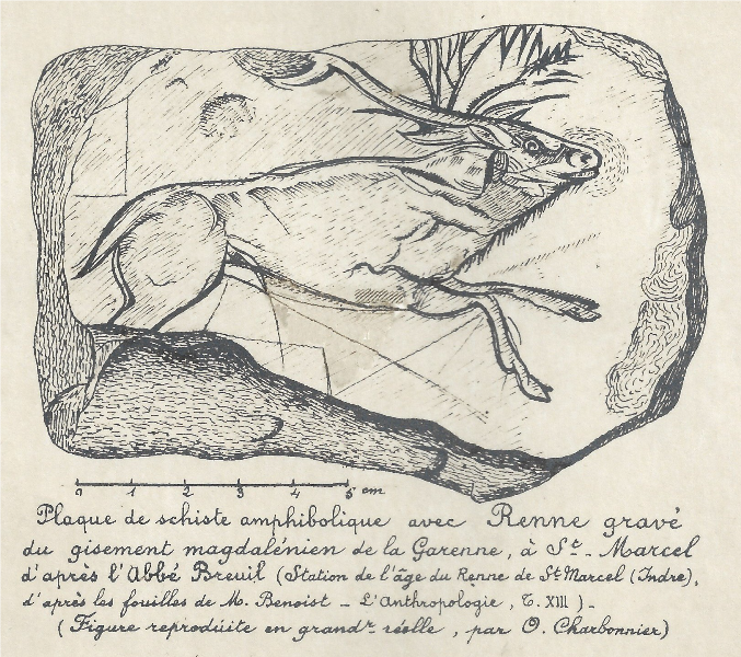 Visite au musée les salles de la préhistoire