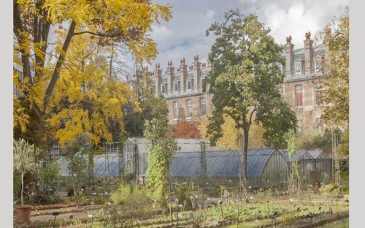 Visite commentée du jardin botanique de la faculté de pharmacie Bibliothèque André Malraux  Paris