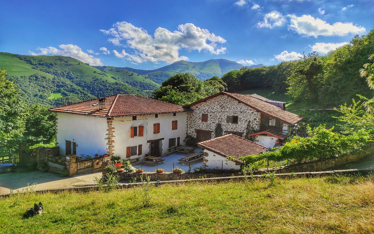 Visite de la ferme Ametzalde (fromage de brebis Ossau Iraty, miel et charcuterie BIO). Sur réservation Maison Erramioenea Lasse