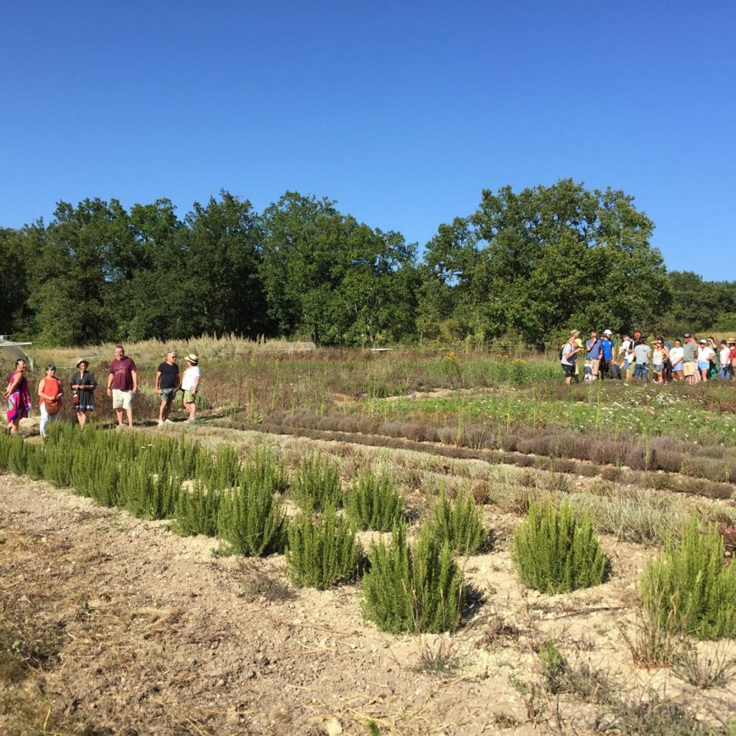 Visite de la ferme bio Néoherba Gaec Néoherba Dévillac