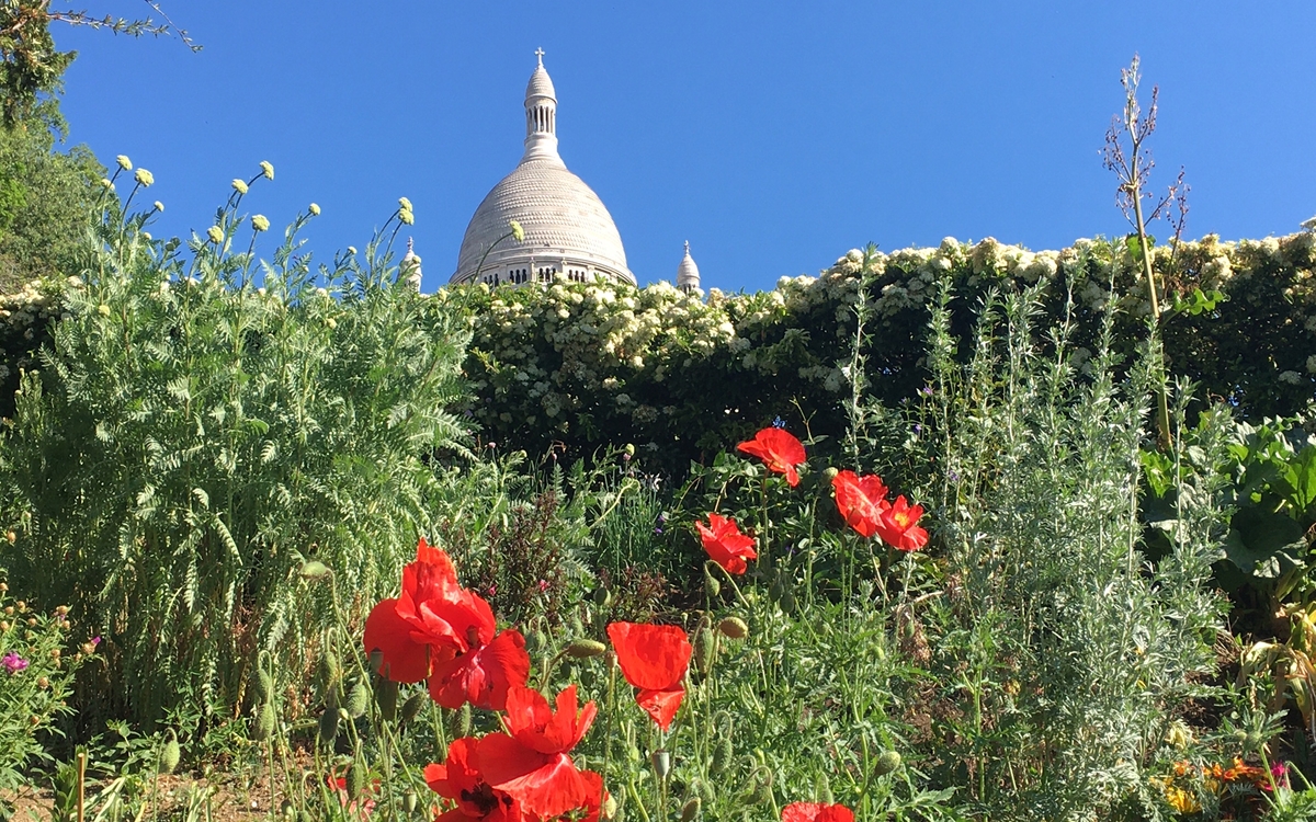 Visite Découverte botanique sur la Butte- Montmartre parvis de l'église Saint-Pierre de Montmartre  paris