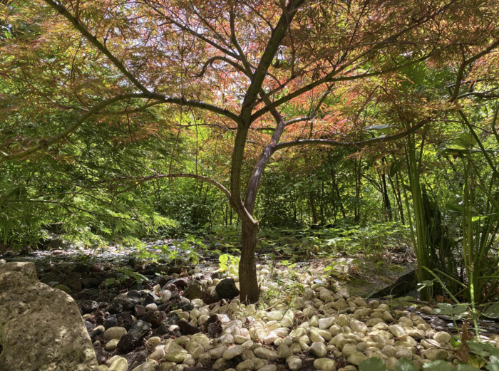 Visite des lilliputiens