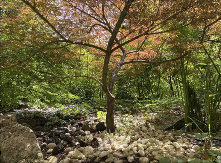 Visite des lilliputiens, une question de point de vue Rendez-vous aux jardins Saint-Vincent-de-Tyrosse