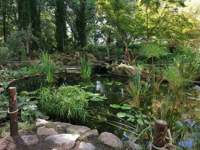 Visite du Jardin Botanique Jardin Botanique de Clermont-Ferrand Clermont-Ferrand