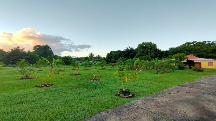 Visite du jardin du CATTP de DOUBS CATTP Doubs Les Abymes