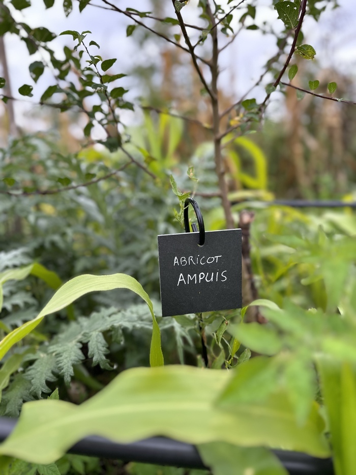 Visite du Jardin-Forêt Le Croissant Fertile Mornant