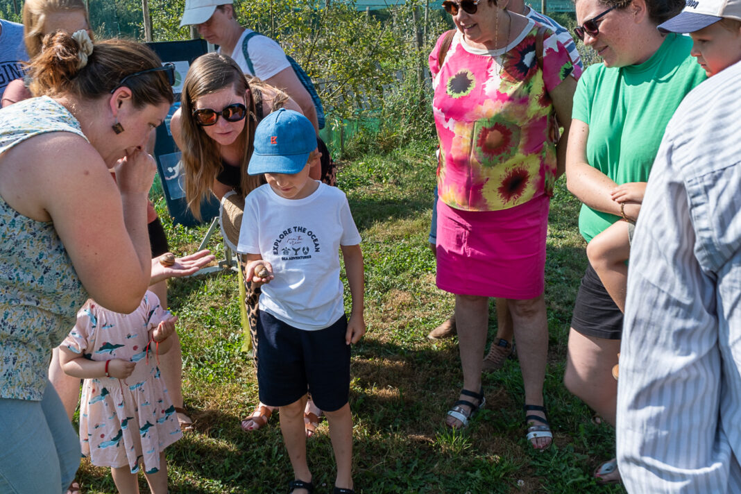 Visite d&rsquo;un élevage d&rsquo;escargots Méli-mélo escargots Génis