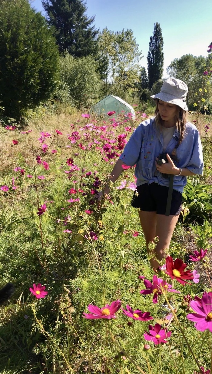 Visite d’un jardin de plantes aromatiques