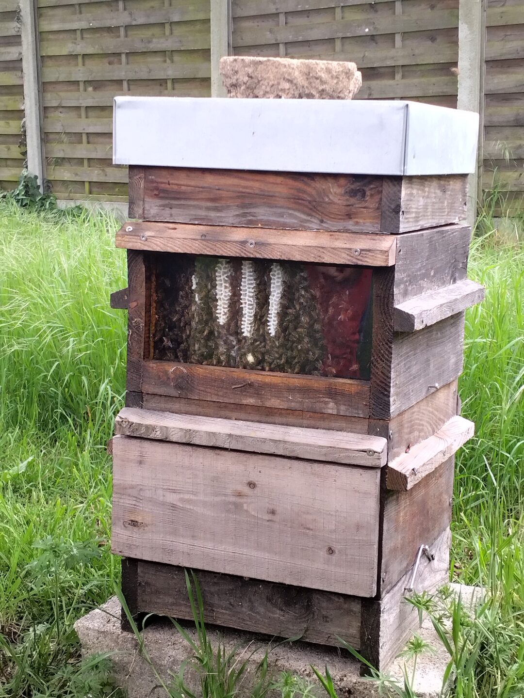 Visite d'un rucher et sa miellerie  Marcheprime 2026-04-08