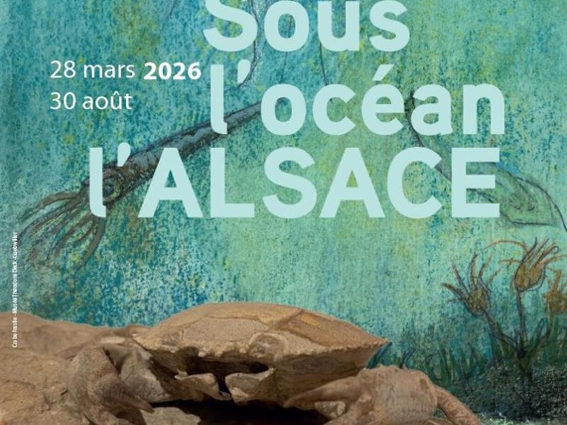 Visite guidée de l'exposition Sous l'océan