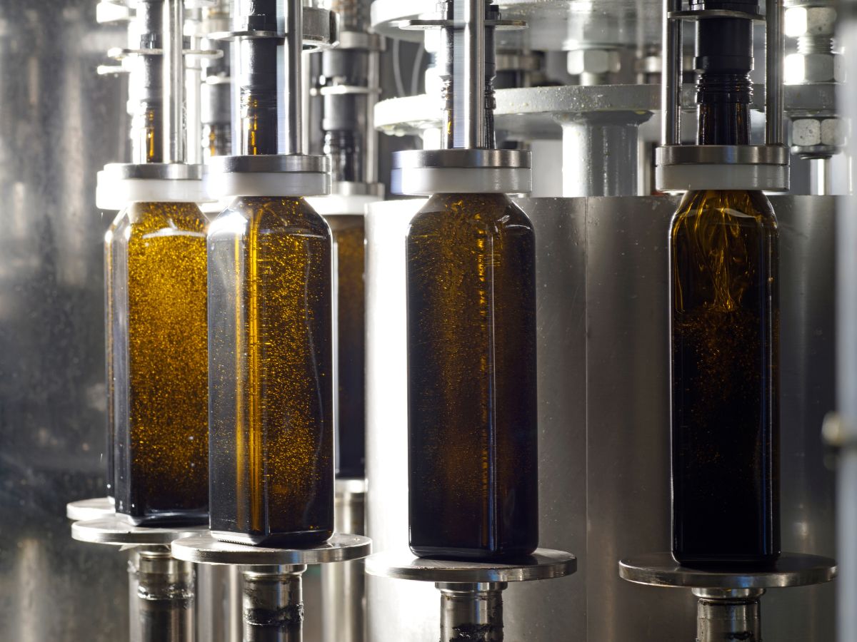 VISITE GUIDÉE DE L'HUILERIE MOOG Route de Limoux Bram 2026-06-04