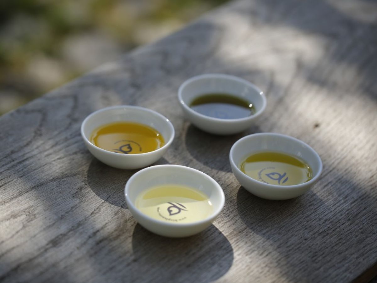 VISITE GUIDÉE DE L'HUILERIE MOOG Route de Limoux Bram 2026-09-03